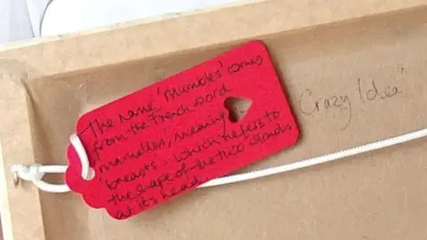 SBUHB Close up of a red label on the back of a picture frame, which reads: "The name 'Mumbles' comes from the French word 'mamelles' meaning breasts, which refers to the shape of the two islands at its head". Next to the label the words 'Crazy idea' are written.