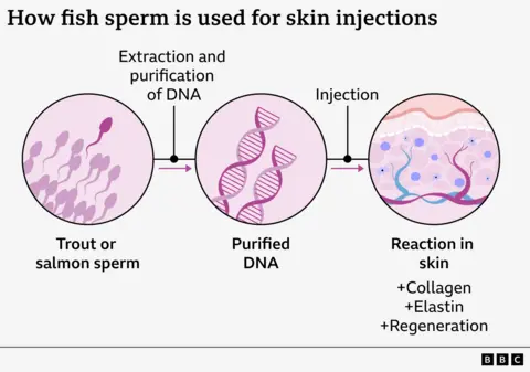 Graphic explaining how fish DNA is extracted and how it potentially reacts in the skin 
