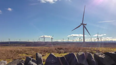 Getty Images An image of the Whitelee wind farm in rural Scotland, with scores of turbines pictured stretching to the horizon under a clear blue sky