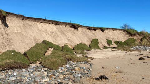 Chunks of turf on the beach at Alnmouth beach