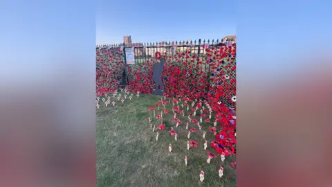 The poppy display in Bognor Regis. Alongside handknitted and crocheted poppies there are 260 poppies and crosses to honour the number of people from Bognor Regis who died in World War Two.