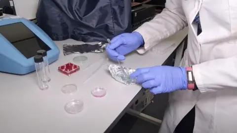 Cancer Research UK Scientists working on new mouth cancer study