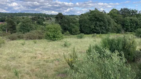An image of large grass fields and several trees, with a cloudy skyline in the distance.