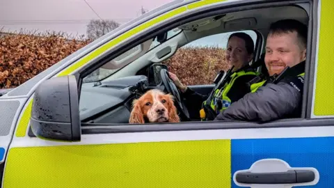 Two police officers in a marked car - the passenger window is down with the face of a brown and white spaniel looking out of the open window.