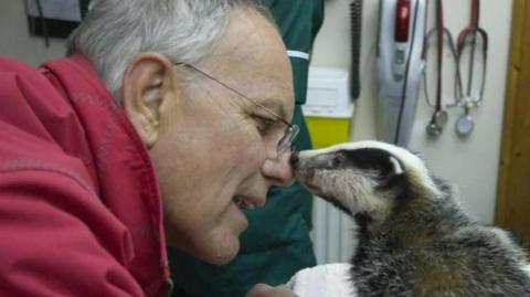 Simon Cowell seen nose-to-nose with a baby badger