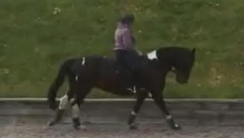 A rider dressed in purple and black rides a dark coloured horse
