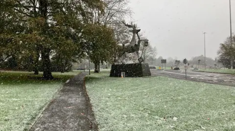 Sam Dixon-French/BBC The steel statue of a stag in the centre of Guildford's University of Surrey campus and the lawn and path around it is decorated with a light flurry of snow.