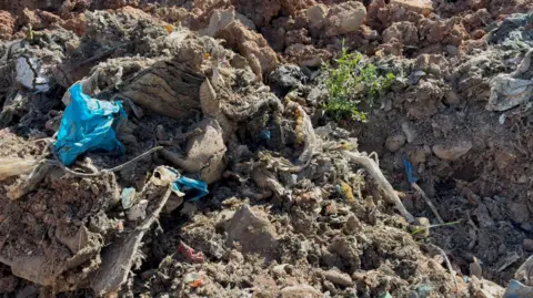 Zoomed in picture of the decaying matter seen in the rubbish tip. The ground is churned up, plastic bags can be seen in amongst it. 