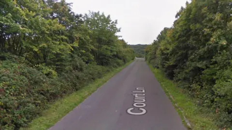 A single-track lane with no road markings. There are green trees and bushes on either side.