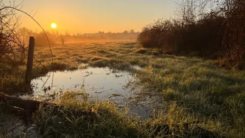 BBC Weather Watchers/DinoSaw A sunset on a field with a small pond