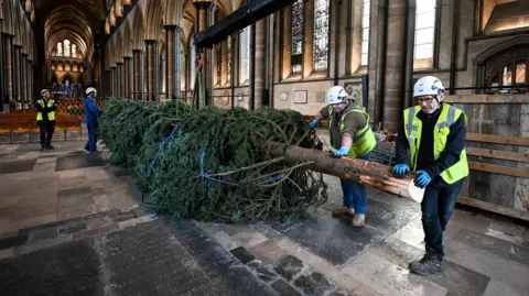 Getty Images Workmen in high-vis jackets and hard helmets carry a huge Christmas tree through one of the ancient corridors at Salisbury Cathedral.