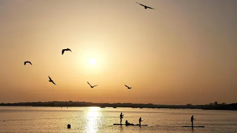 MarkieB The shapes of birds in a yellow sky as the sun sets, also casting a beam across the water, where the outlines of paddleboarders can be seen.