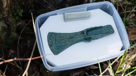 Forestry England The axe head, which is covered in green verdigris, sits in a white plastic tub on the floor of a forest. 
