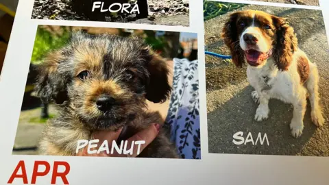 Photos of dogs are shown on the page of a calendar marked "APR". Captions name the dogs as Flora, Peanut and Sam.