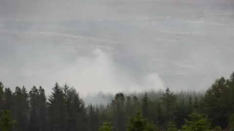 Oli Constable/BBC White smoke billowing from trees and woodland
