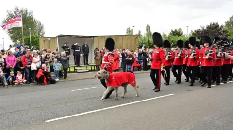 Pacemaker Irish Guards and Irish Wolfhound as part of the Armed Forces Day Parade at Jordanstown Loughshore Park