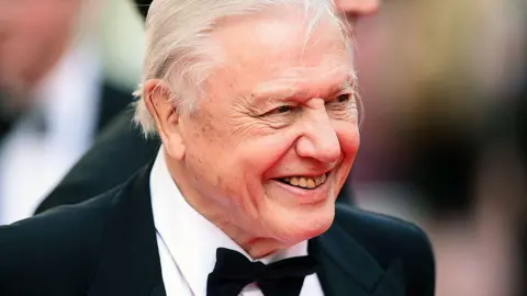 David Attenborough in a suit