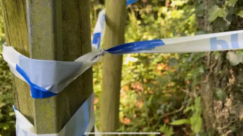 Blue and white police tape around a wooden fence post with woodland in the background.