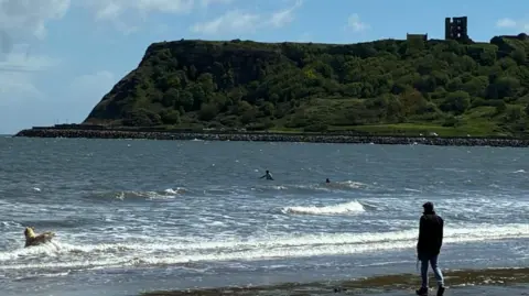 A view of the Scarborough coastline; in the distance the ruins of a castle can be seen at the top of a grassy hill. In the sea, two surfers and a dog can be seen. A dog walker stands by the shoreline.