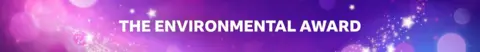 Purple, sparkly Make a Difference Award branded 'The Environmental Award' graphic. 