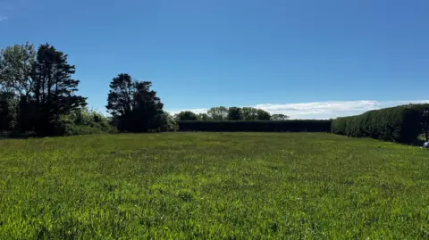 A grassy site of where some of the houses could be built. It is a sunny scene boarded by hedges.