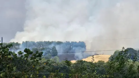 Paul Lloyd An image of white smoke rising from grassland and trees, taken from the distance.