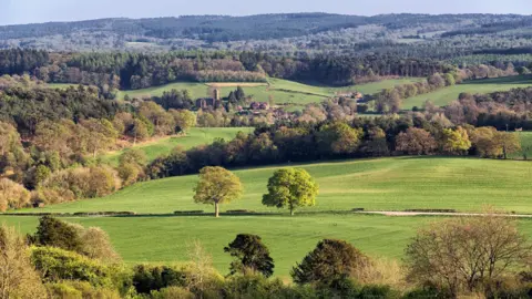 A view of Newlands Corner near Guildford, with green fields and trees, showing a typical scene of the Surrey countryside.