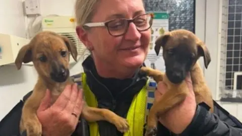 Dorset Police PC Kate Atkinson, who is wearing a police uniform and has blonde hair and tortoise shell glasses, holding up two of the lurchers that have been found.