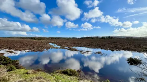 Dee Cee Water in a mossy field, likely from rain. The sky is blue with white clouds and is reflected in the water.