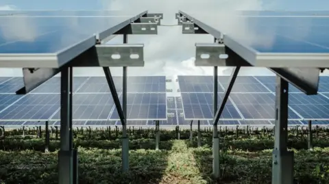 A close up image of a solar farm. The picture is taken from ground level and shows rows of grey metal posts which hold solar panels