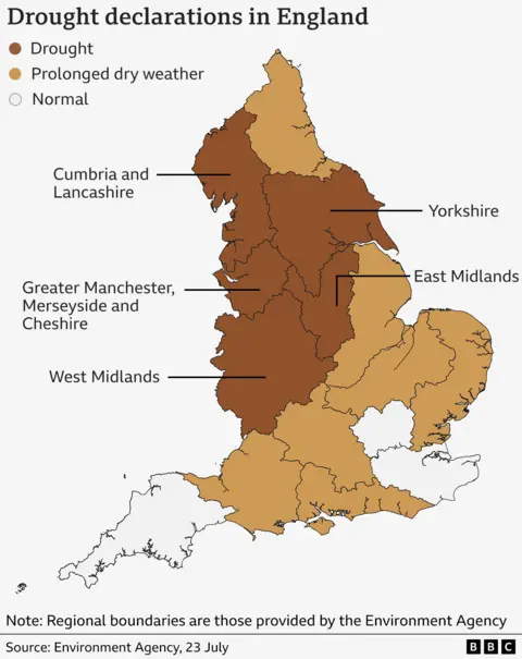 Map showing which regions of England are in drought, shaded in dark brown. They are Cumbria and Lancashire, Greater Manchester, Merseyside and Cheshire, Yorkshire, West Midlands and East Midlands. Regions in ‘prolonged dry weather’ status are shaded in light brown. They are all other regions except eastern London, parts of the South East, and the South West, which each have a status of ‘normal’.