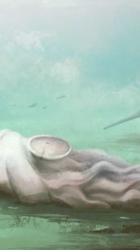 An artist's impression of what the animal would have looked like