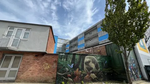 A painting of a hedgehog on a wall in front of some of the social housing in Plymouth city centre.