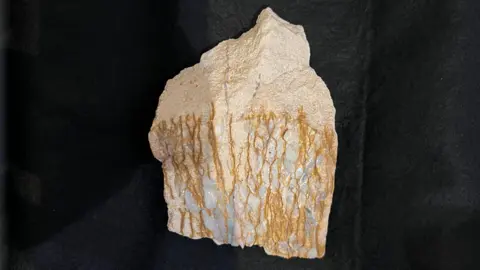 Lily-May Symonds / BBC An opal gem stone on a black velvet background