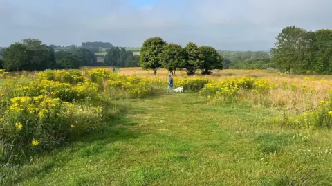 A dog walker can be seen on parkland with long grass with paths mown through and trees surrounding. Green fields in the distance.