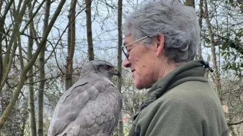 A Goshawk and a woman wearing glasses and a green fleece top stand in woodland nose to beak. The Goshawk has orange eyes, a hooked beak and mottled grey feathers. The sky behind is blue-grey and the trees have shed most of their leaves reflecting the winter conditions. 