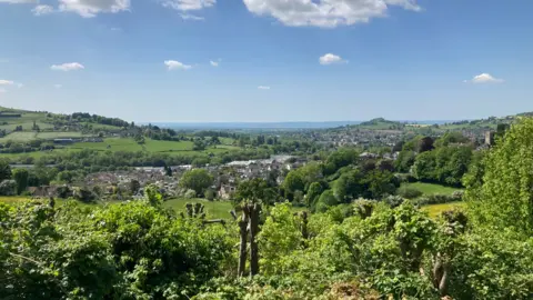 View from Tabernacle Walk, Rodborough, Gloucestershire, on a sunny day. Image shows green shrubs in the foreground, with rolling hills and Stroud town further back.