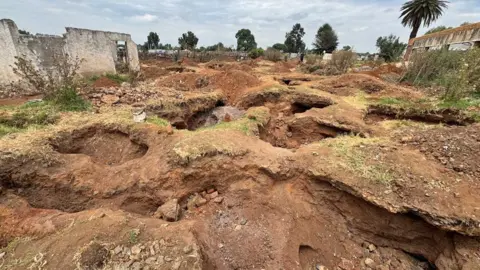 Thuthuka Zondi/BBC A field formerly used for cattle riven with holes by those digging for gold.
