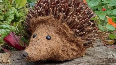 Harlyn the hedgehog has prickles made of sticks and his face is made of brown coco fibre. He has shiny black eyes and is sitting in a veg patch.