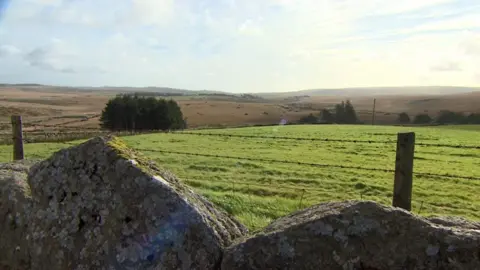 A view over a sunny part of Dartmoor. A stone wall is in the foreground, with a view looking over green fields and browner hills.