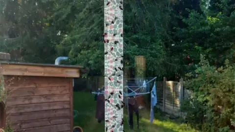supplied Fly paper with dozens of flies and view of garden in the background