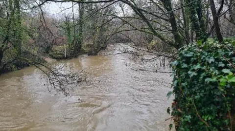 Lizzie's View A very full river with muddy water. The banks of the river are lined with trees. 