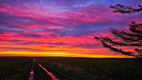 Mervyn Rendall A purple, orange and yellow toned sunrise in the sky.