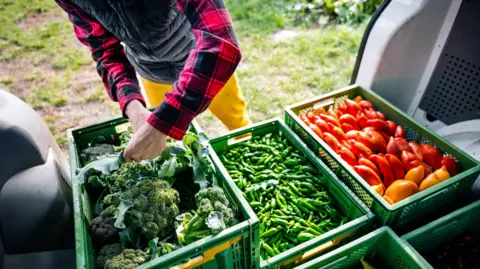 Getty Images Farmer sorting vegetables in boxes in a white van