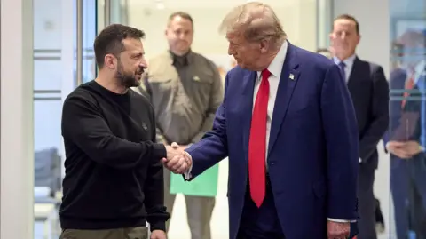 EPA Zelensky and Trump shaking hands