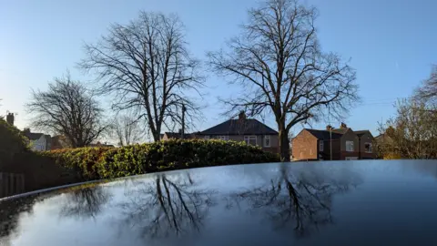 TheAdder Two leafless trees, reflected in the shining roof of a car. A hedge can be seen behind the car's roof and a street with semi detached houses stretch into the background.