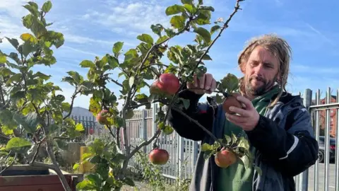 A man with long brown-blond hair looks at an apple tree. He is wearing a green jumper and a grey jacket. The apple tree is in a wooden planter on industrial land. A silver metal fence is set against a blue sky in the background.