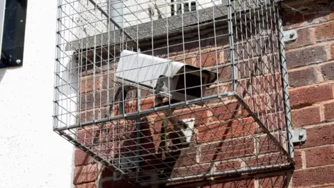 A white CCTV camera is fixed to a brick wall and contained within a metal mesh cage. The camera is pointing towards the bottom right hand side of the image.