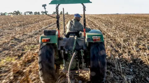 AFP A man, dressed in farming attire and with a blue cap on, is seen driving a tractor through a field.