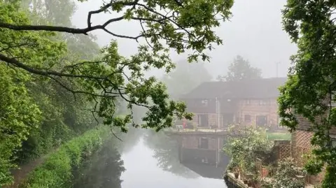 Dave A/ BBC A tree branch hanging over a river 